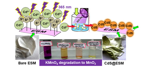 Eggshell Membrane Assisted CdS Nanoparticles for Manganese Removal in Water Treatment