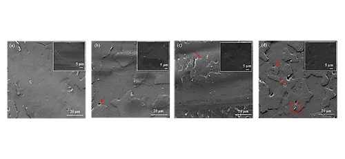 Morphological, structural, thermal and degradation properties of polylactic acid-waxy maize starch nanocrystals based nanocomposites prepared by melt processing 