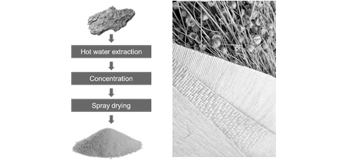 Biocomposites based on plant material 