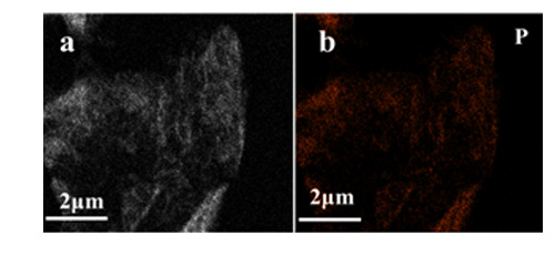 Phosphorus/reduced graphene oxide nanocomposite for high-performance anode of sodium-ion batteries  