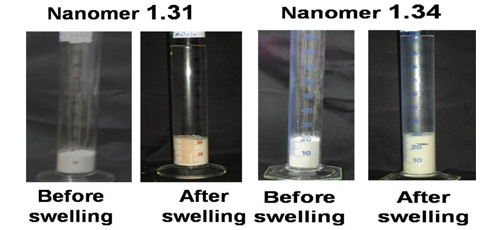 Carvedilol drug-organo montmorillonite nanocomposites: Preparation, characterization and drug release studies 