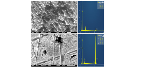 Investigation of new antifrictional/frictional nanocomposites based on PTFE matrix filled with Fe-doped carbon nanoparticles 