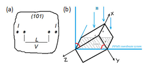 The Vortex Glass-Liquid Transition in Fe<sub>1.02</sub>Se Crystal 