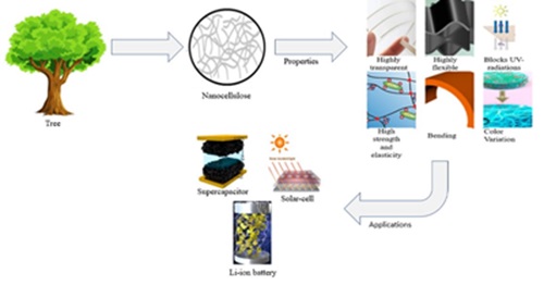 Exploring Nanocellulose-Based Materials for Energy Conversion and Storage Devices
