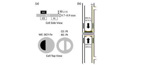 Electrochemical promotion of ammonia synthesis with proton-conducting solid oxide fuel cells 