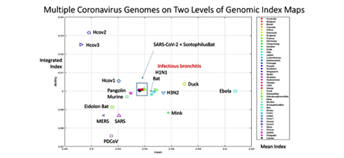 Viral Evolution of Multiple Coronavirus Genomes on Genomic Index Maps 