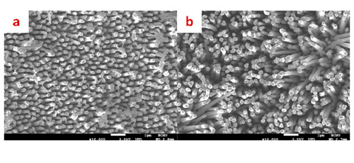 Template-assisted fabrication of tunable aspect ratio, biocompatible iron oxide pillar arrays 