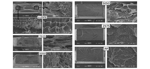 Morphology/tensile Performance Relationship for LLDPE/PP Double Gated Injected Blends