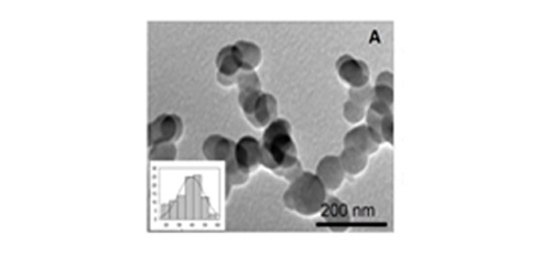 Redox-active cerium oxide based nanozyme abrogate the organophosphate mediated poisoning in mammalian cells