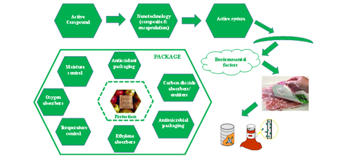 Advances in Active Packaging: Perspectives in Packaging of Meat and Dairy Products