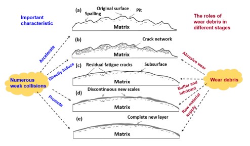 A Perspective for the Collective Friction and Wear of Tungsten Alloy Balls 