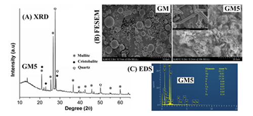 Metal oxide (V<sub>2</sub>O<sub>5</sub>) incorporated fly ash based geopolymer for better sustainable engineering composites