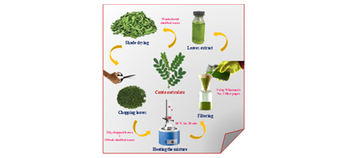 Green Synthesis and Characterization of Silver Nanoparticles using <em>Cassia auriculata</em> Leaves Extract and Its Efficacy as A Potential Antibacterial and Cytotoxic Effect 