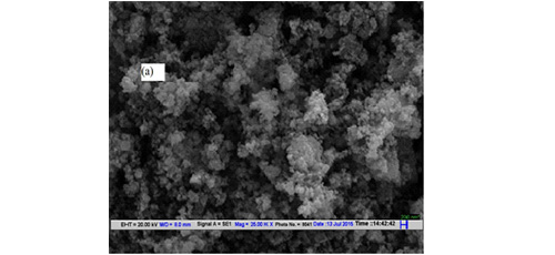 Nanoengineered plasma polymer films for biomedical applications