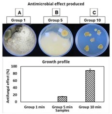 Plasma sterilization of cotton fabrics