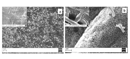 Photocatalytic ZnO based PES Membranes for AOP Water Treatments under UV and Sunlight 