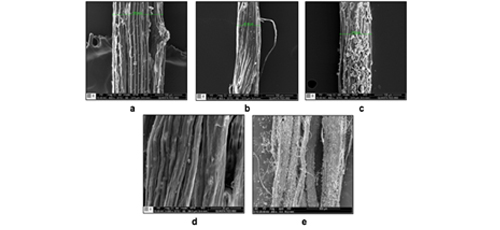 Ionic liquid [BMIM][Cl] immobilized on cellulose fibers from pineapple leaves for desulphurization of fuels 
