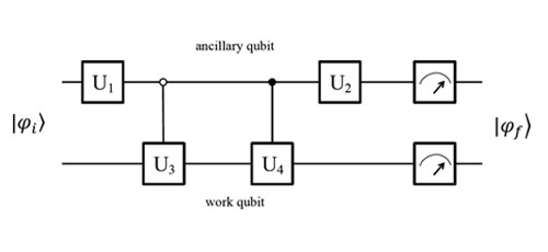 Brief Review: Simulation of Novel Systems Using Duality Quantum Algorithm 