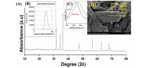Development of anti-bio deteriorate sustainable geopolymer by SiO<sub>2</sub> NPs decorated ZnO NRs