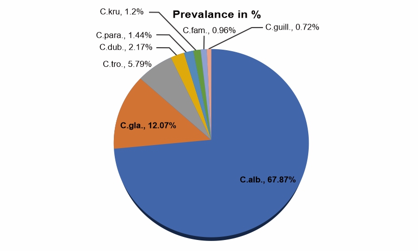 The Study of Prevalence of Candida Species in Oral Cavity between Habitual and Non-Habitual of Gutka Chewers in Vitro Condition 