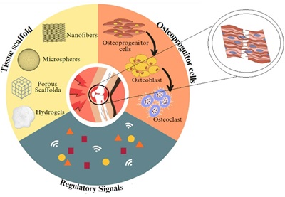 Potential Application of Polysaccharide-based Aerogel Scaffolds for Bone Tissue Engineering 