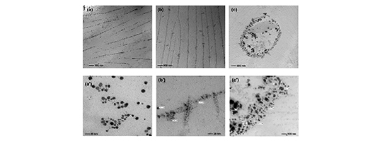 Influence of surfactant on the patterning behavior of nanosilver within polyacrylamide nanogels 
