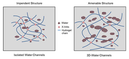 Water Management within Tragacanth gum-g-polyitaconic Acid Hydrogels
