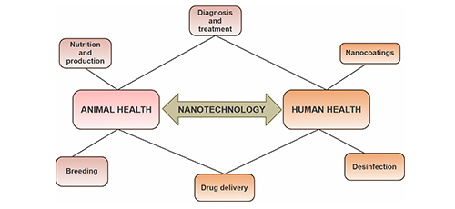 Contribution of Nanotechnology in Animal and Human Health Care