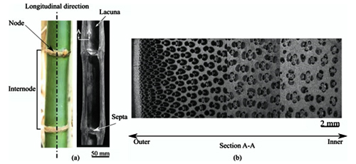Predicting Tensile Behaviour of Bulk Bamboo using Weibull Statistics for Progressive Failure