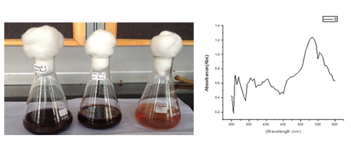 Synthesis and Characterization of Gold Nanoparticles from Lobelia Nicotianifolia Leaf Extract and its Biological Activities 