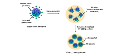 Preparation of novel tragacanth gum-entrapped lecithin nanogels