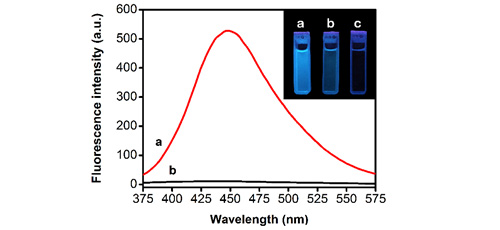 Synthesis of fluorescent water-soluble oligo (oxazoline-ethylenimine) block copolymers 
