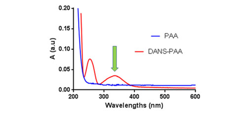 Critical Association Concentration of Dansyl-Poly (acrylic acid) Synthetized by Redox Polymerization Followed by an Esterification in Aqueous Solution: Spectrophotometric and Tensiometric Studies