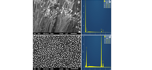 Nucleation and growth of carbon nanoforms on the surface of metallic plate-substrates and the mechanism of their doping with the clusters of ferromagnetic atoms   