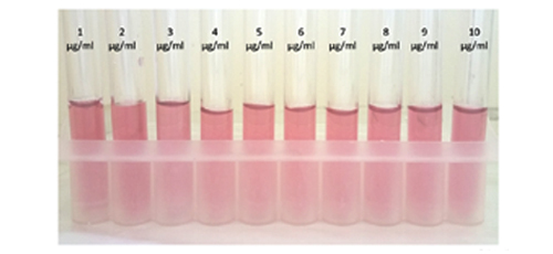 Preparation of Stable and Optimized Antibody-gold Nanoparticle Conjugates for Point of Care Test Immunoassays 