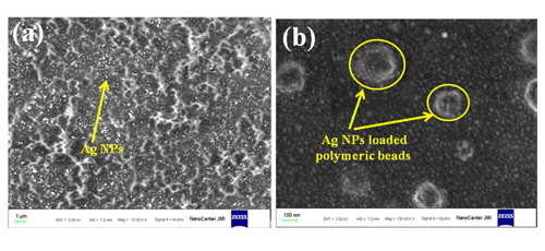 Fabrication of Nanoparticle Embedded Polymeric Microbeads as an Efficient Drug Delivery System 