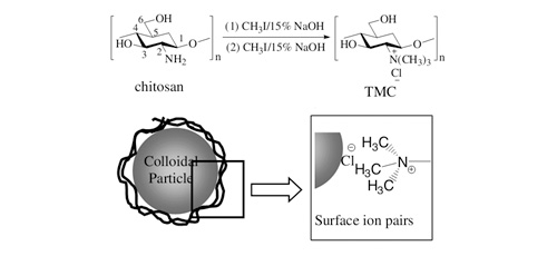 Preparation, stabilization, and self-assembly of gold nanoparticles by Chitosan derivatives