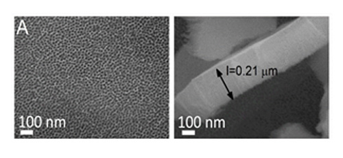 Visible light responsive TiO2 nanotubes synthesized by electrochemical anodization method