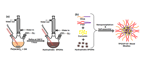 SPIONs and curcumin co-encapsulated mixed micelles based nanoformulation for biomedical applications 