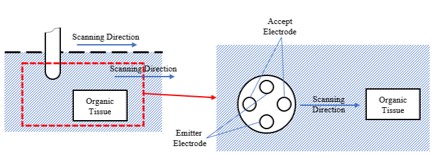 Research on Electrical Characteristics of Composite Biological Tissue Junction Based on Active Electric Field Principle