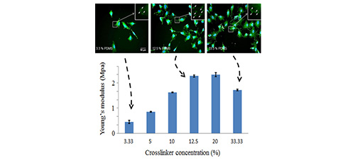Tuning Polydimethylsiloxane (PDMS) properties for biomedical applications