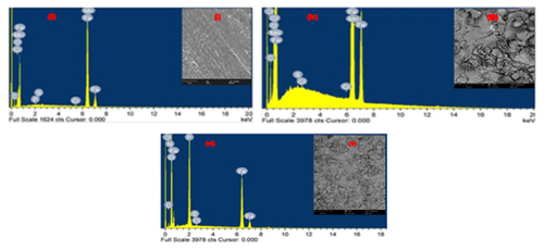 The Protective Effect of Diphenoxylate Drug on API X120 Carbon Steel Corrosion in 15% Hydrochloric Acid Environment