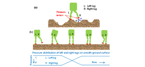 Walking robot movement on non-smooth surface controlled by pressure sensor