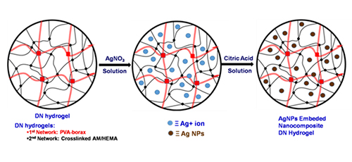 Synthesis of AgNPs embedded double network nanocomposite hydrogels having high swelling and anti-bacterial characteristics 