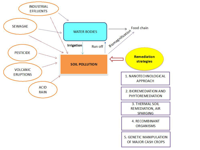 Utilization of Advanced Technologies for <i>in-situ</i> Remediation of Polluted Soil to avoid Ecological Risks: A Review 