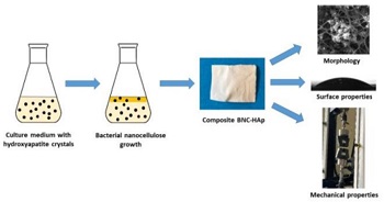 Preparation of Bacterial Nanocellulose-Hydroxyapatite Composite 
