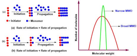 Living and Immortal Ring-Opening Polymerization of Cyclic Esters