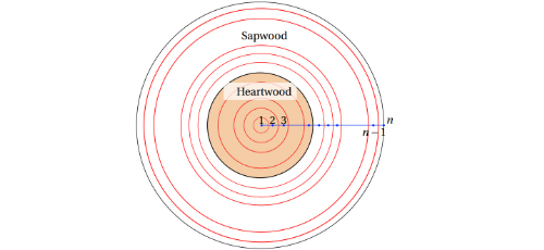 Joule heating of logs for phytosanitary purposes and timber processing pre-treatment 