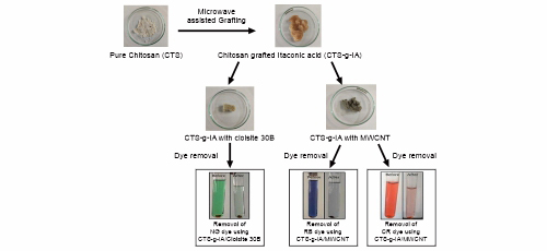 Removal of Toxic Dyes from Industrial Waste Water using Chitosan Grafted Itaconic Acid Nanocomposites
