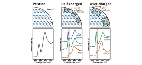 Coating - A potent method to enhance electrochemical performance of Li(NixMnyCoz)O<sub>2</sub> cathodes for Li-ion batteries 